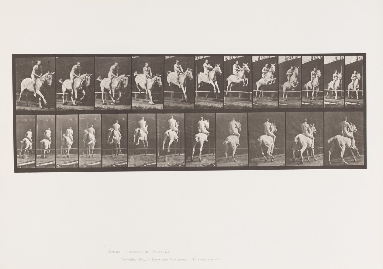 Plaat 647. Over een Hek Springend; Zonder Zadel; Ruiter door Eadweard Muybridge