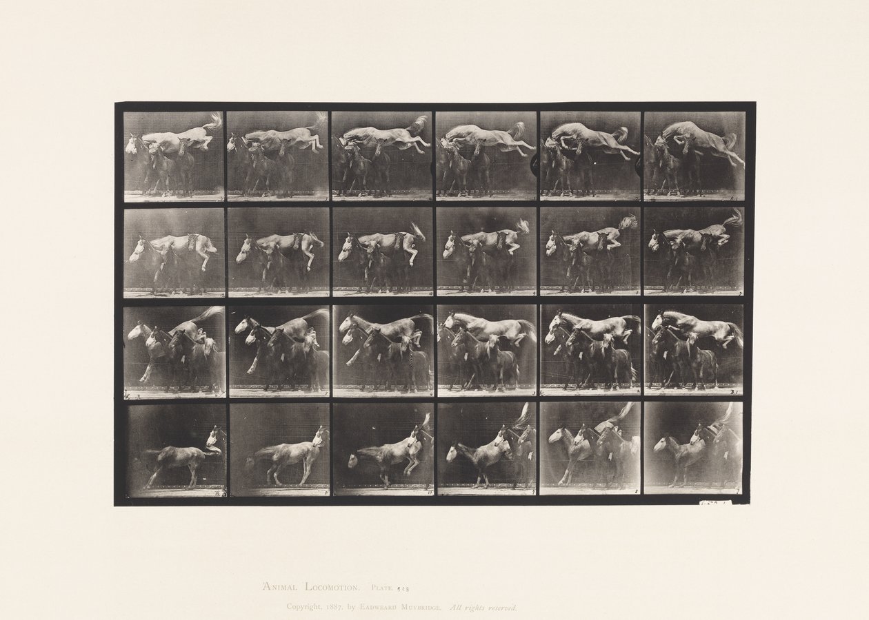 Plaat 648. Springen over drie paarden; A,B; Kastanjebruin paard Hornet door Eadweard Muybridge