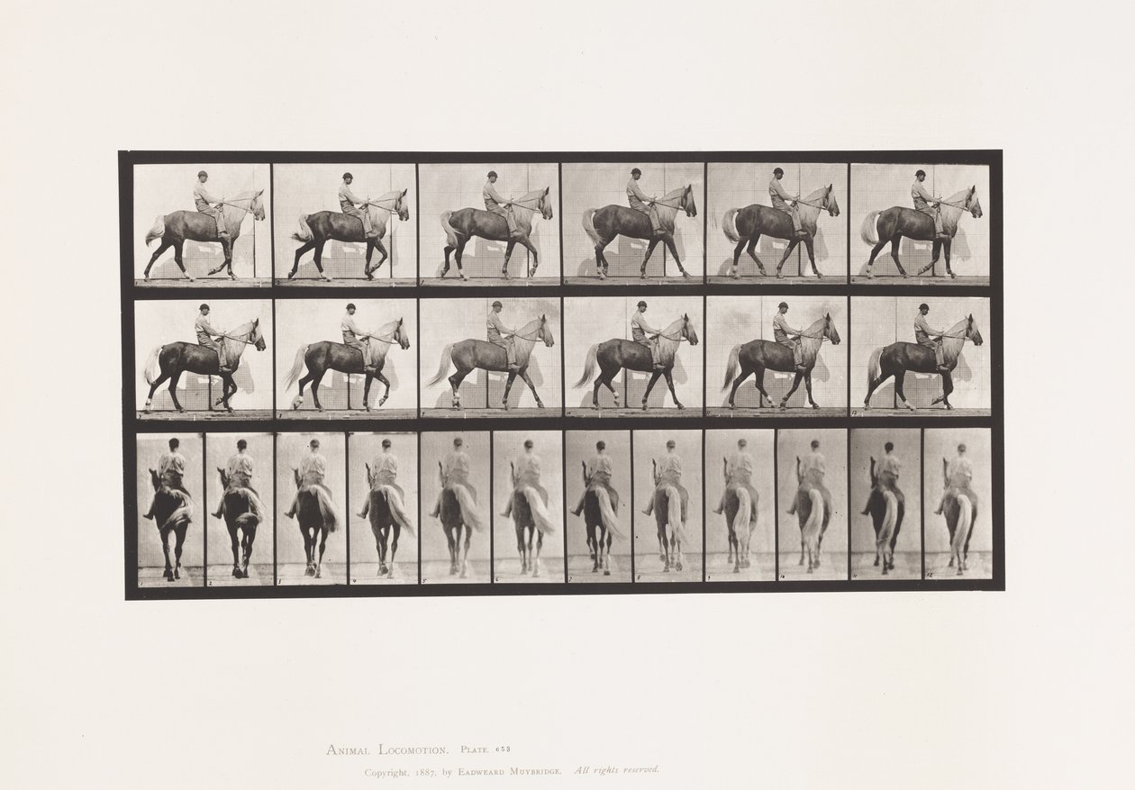 Plaat 653. Lopen; Zadel; Kreupel, Rechter Voorpoot; Paard-Buckskin door Eadweard Muybridge