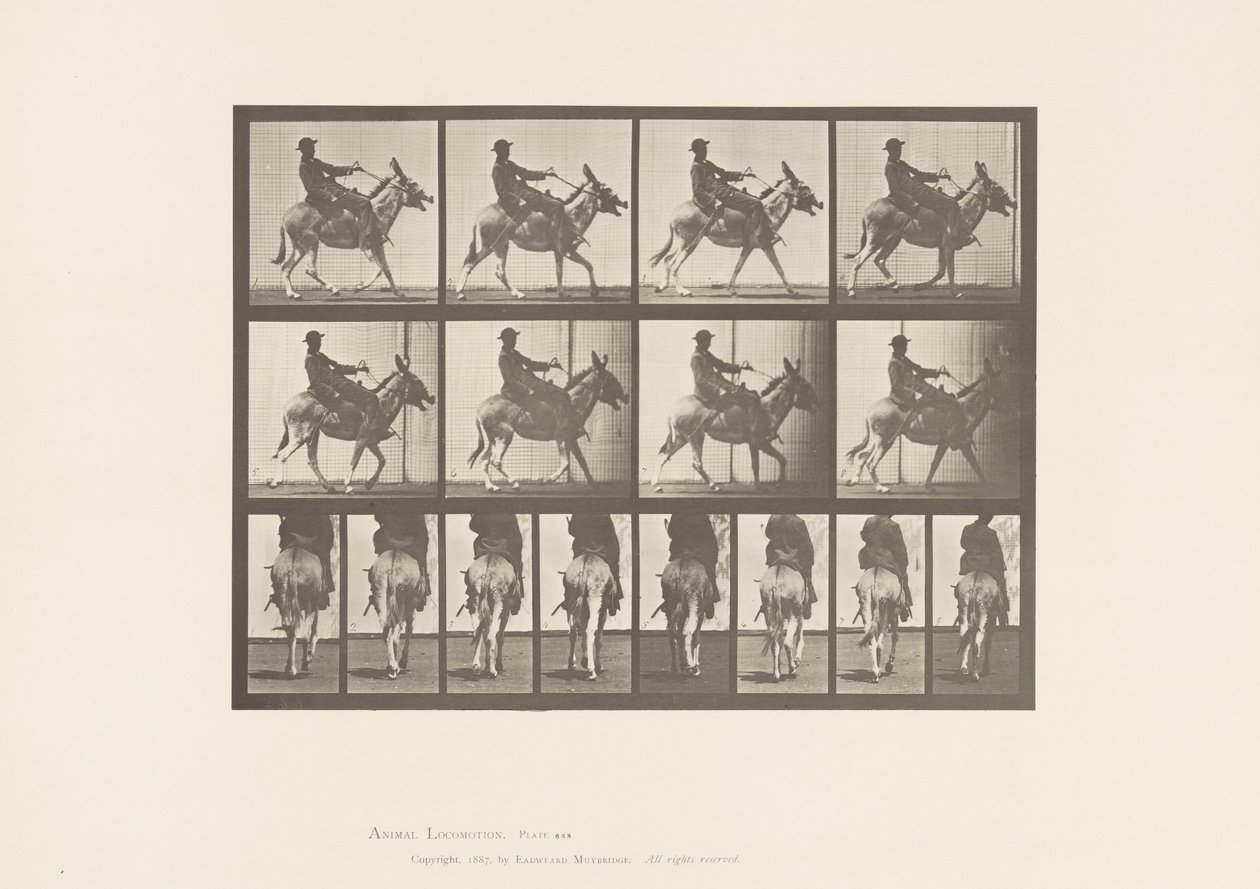Plaat 668. Ezel; Tred; Zadel; Een Jongen Rijdt, Dierentuin door Eadweard Muybridge