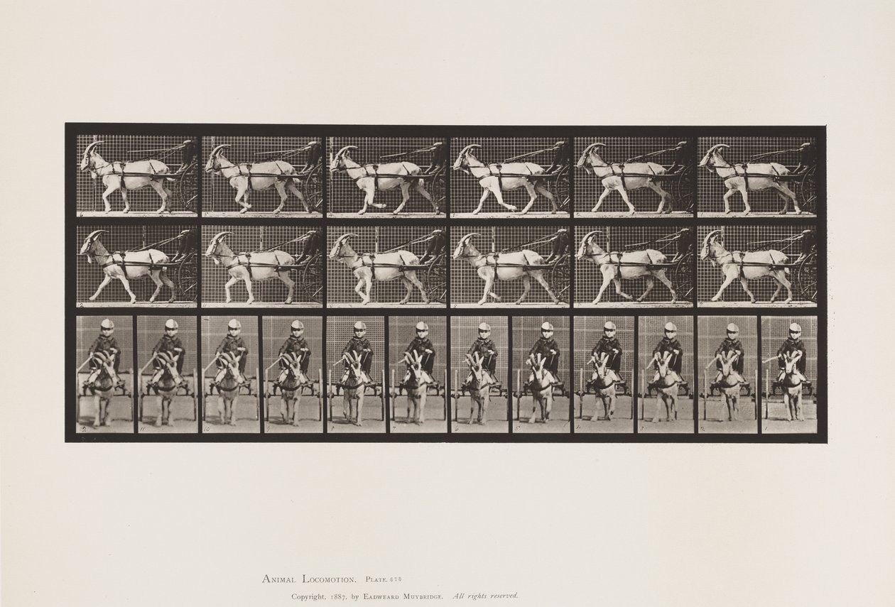 Plaat 678. Geit; Draven, in Sulky door Eadweard Muybridge