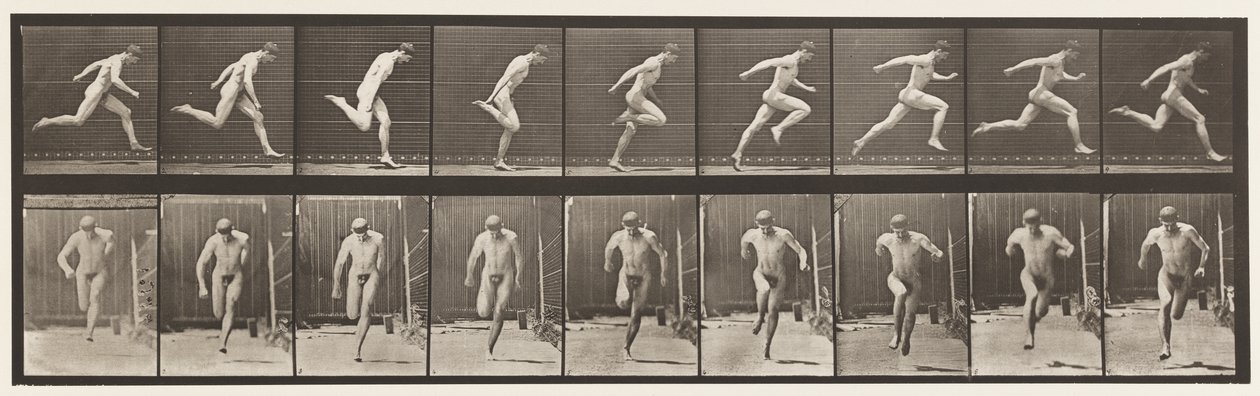 Rennen, 1872-1885 door Eadweard Muybridge