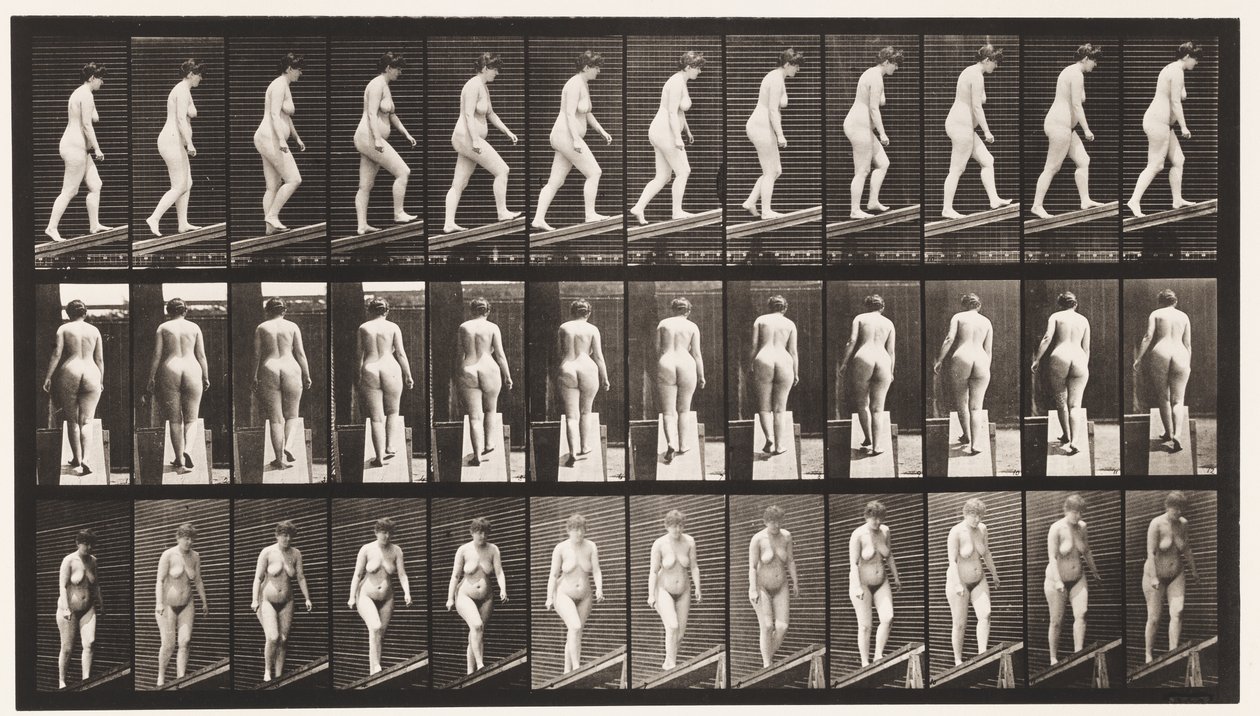 Plaat 77. Helling beklimmen door Eadweard Muybridge