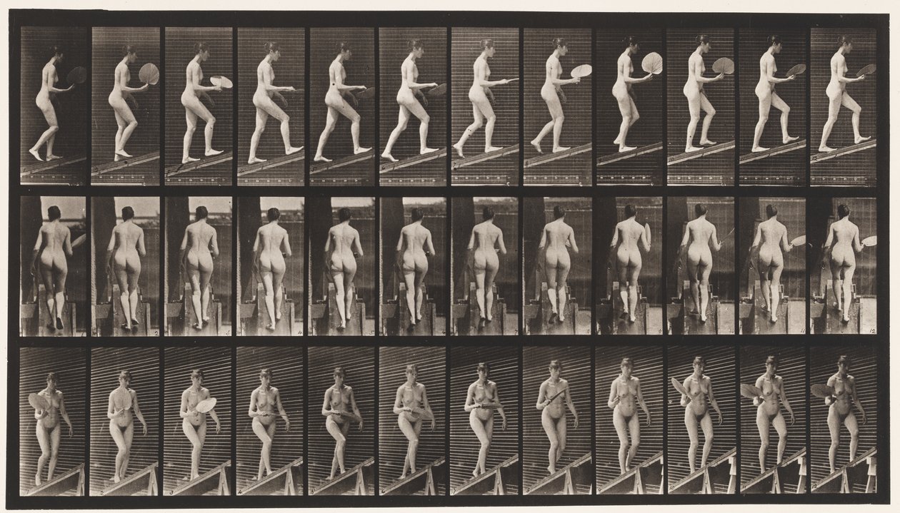 Plaat 78. Helling oplopen, met een waaier flirten, 1872-1885 door Eadweard Muybridge