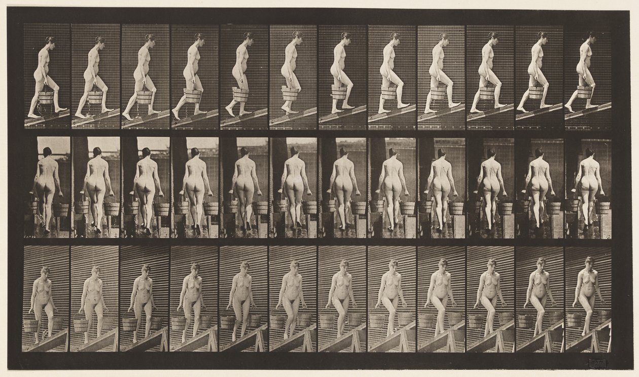 Plaat 81. Helling Beklimmen door Eadweard Muybridge