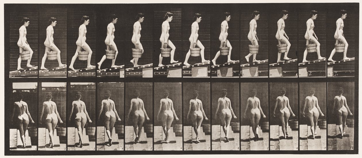 Plaat 83. Helling Beklimmen, Emmer Water in Rechterhand door Eadweard Muybridge