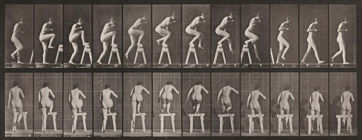 Plaat nummer 178. Op en over een schraag stappen door Eadweard Muybridge