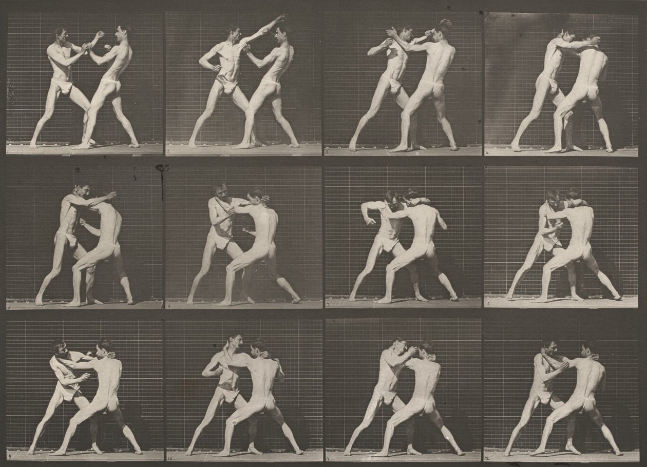 Plaat nummer 340. Boksen, open hand door Eadweard Muybridge