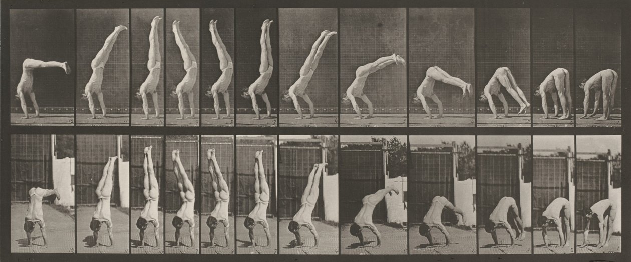 Plaat nummer 371. Acrobat, verticaal "omhoog drukken",1887 (foto) door Eadweard Muybridge