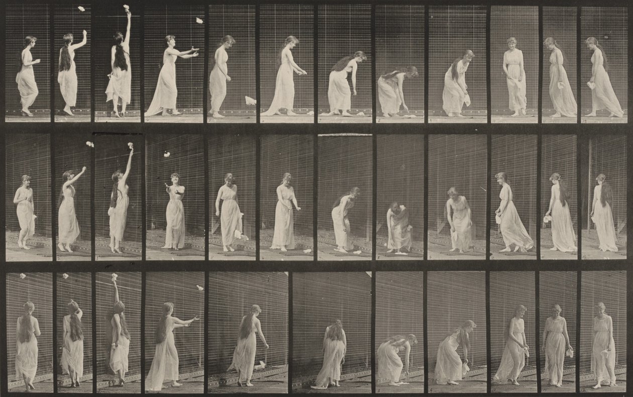 Plaat nummer 463. Zich uitstrekken, bukken en omdraaien door Eadweard Muybridge