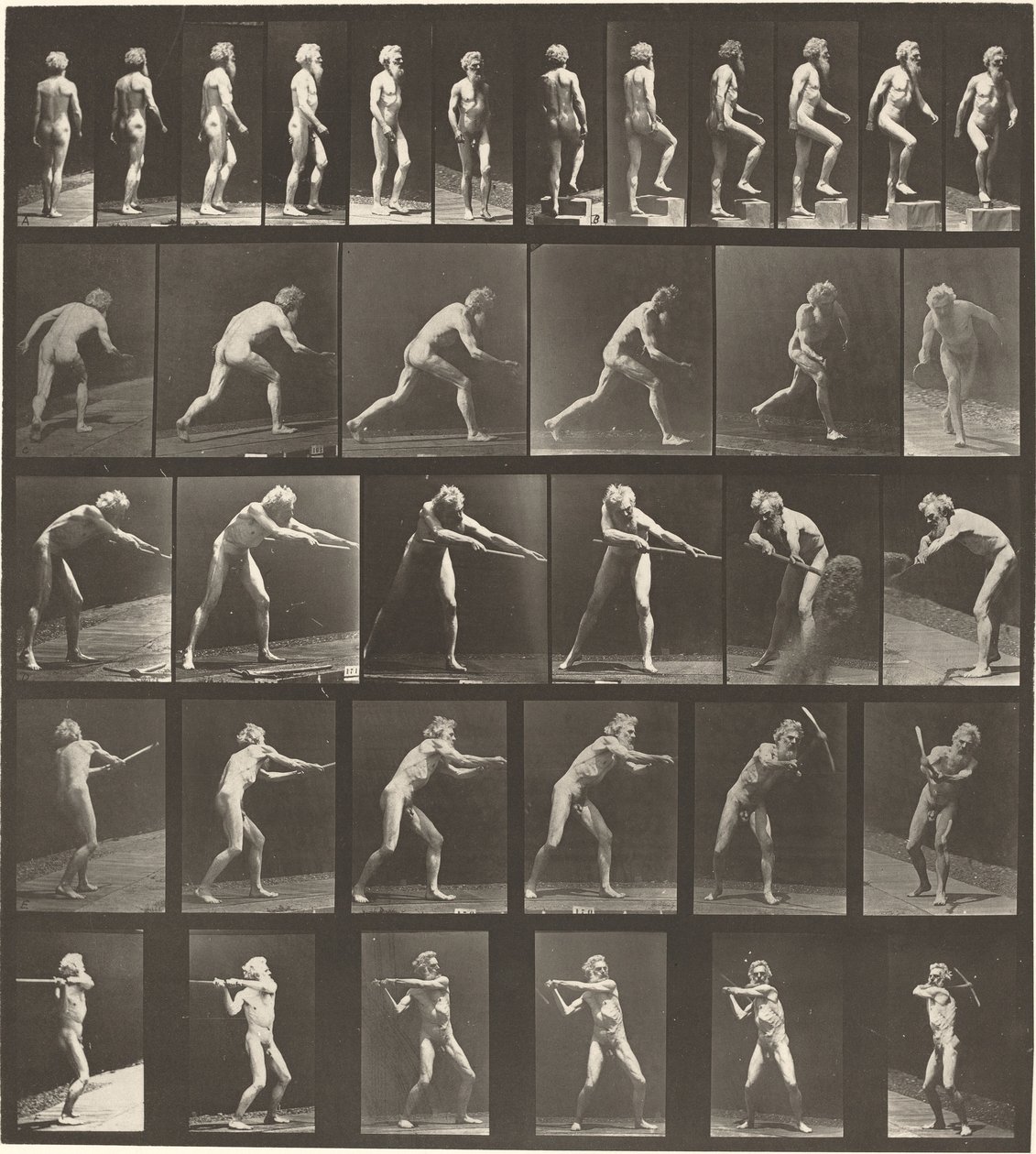 Plaat nummer 521. A: Lopen. B: Stap omhoog. C. Schijf werpen. D: Schep gebruiken. E, F. Houweel gebruiken door Eadweard Muybridge
