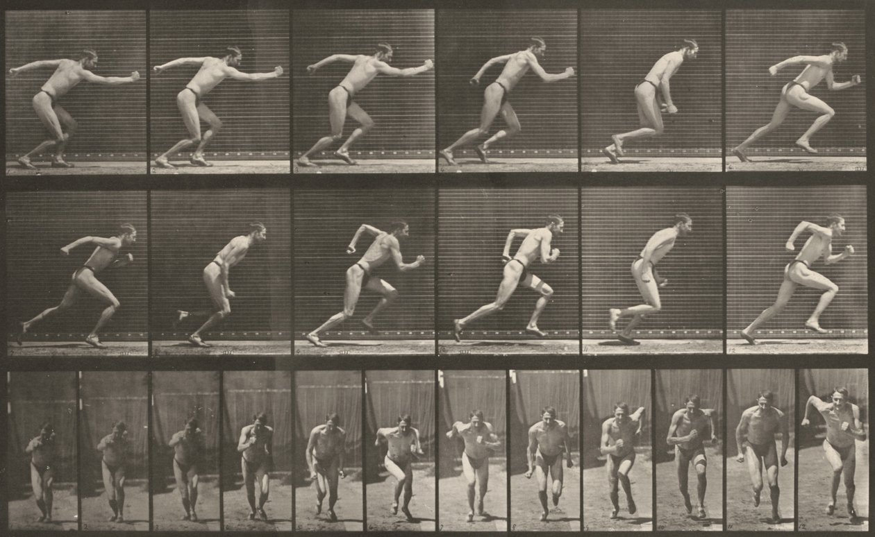Plaat nummer 59. Beginnen met rennen door Eadweard Muybridge