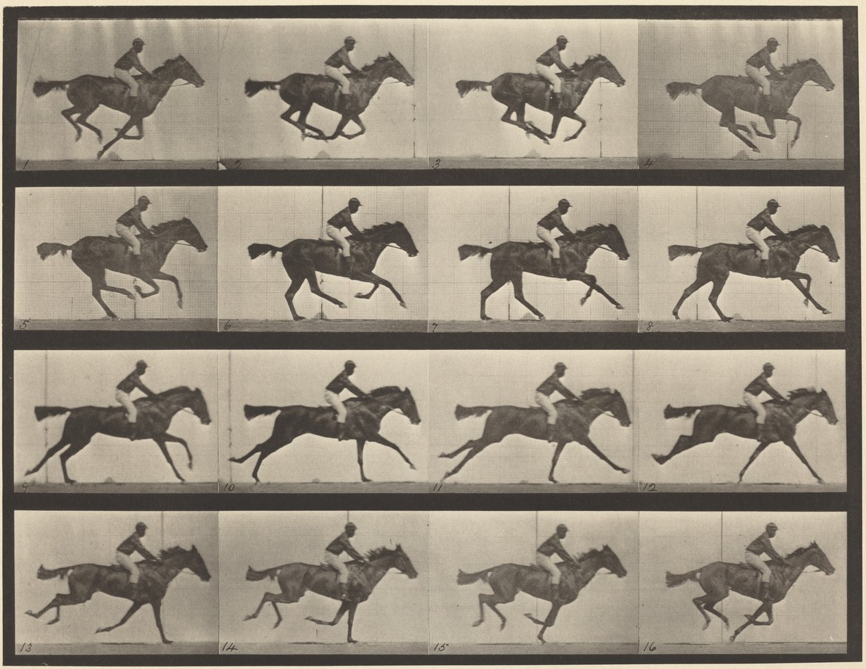 Plaat nummer 626. Galop, volbloed bruine merrie, Annie G. door Eadweard Muybridge