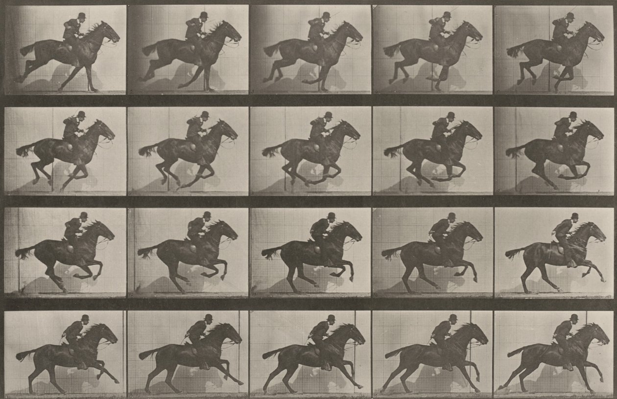 Plaat nummer 628. "Daisy" in galop door Eadweard Muybridge