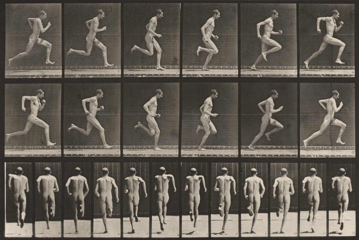 Plaat nummer 62. Hardlopen op volle snelheid door Eadweard Muybridge