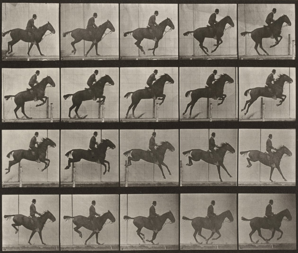 Plaat nummer 639. „Daisy“ springt over een hindernis, gezadeld door Eadweard Muybridge