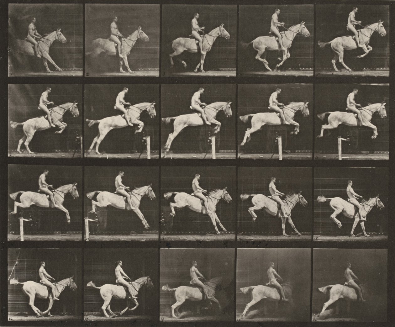 Plaat nummer 642. "Pandora" springt over een hindernis, gezadeld; ruiter naakt door Eadweard Muybridge