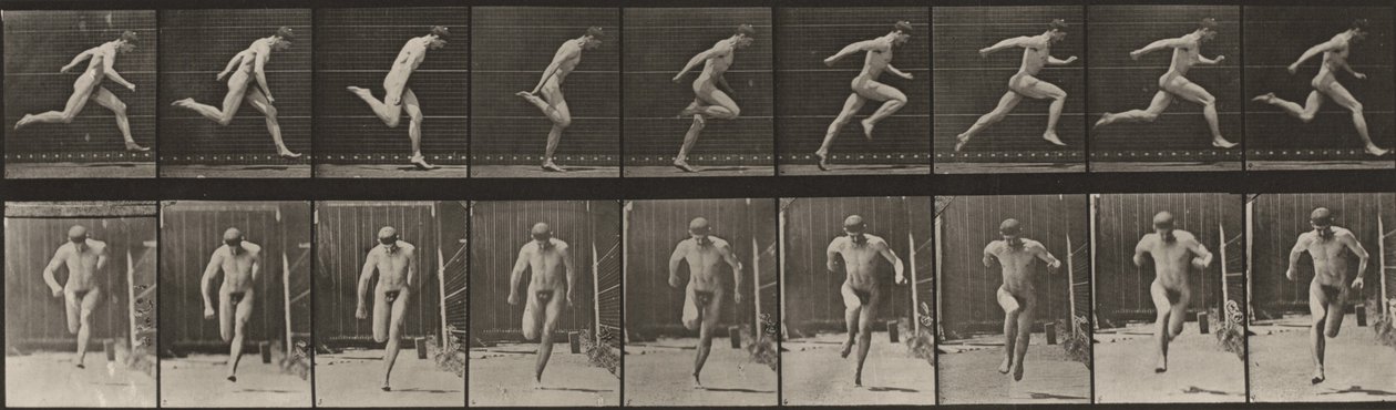 Plaat nummer 68. Hardlopen door Eadweard Muybridge