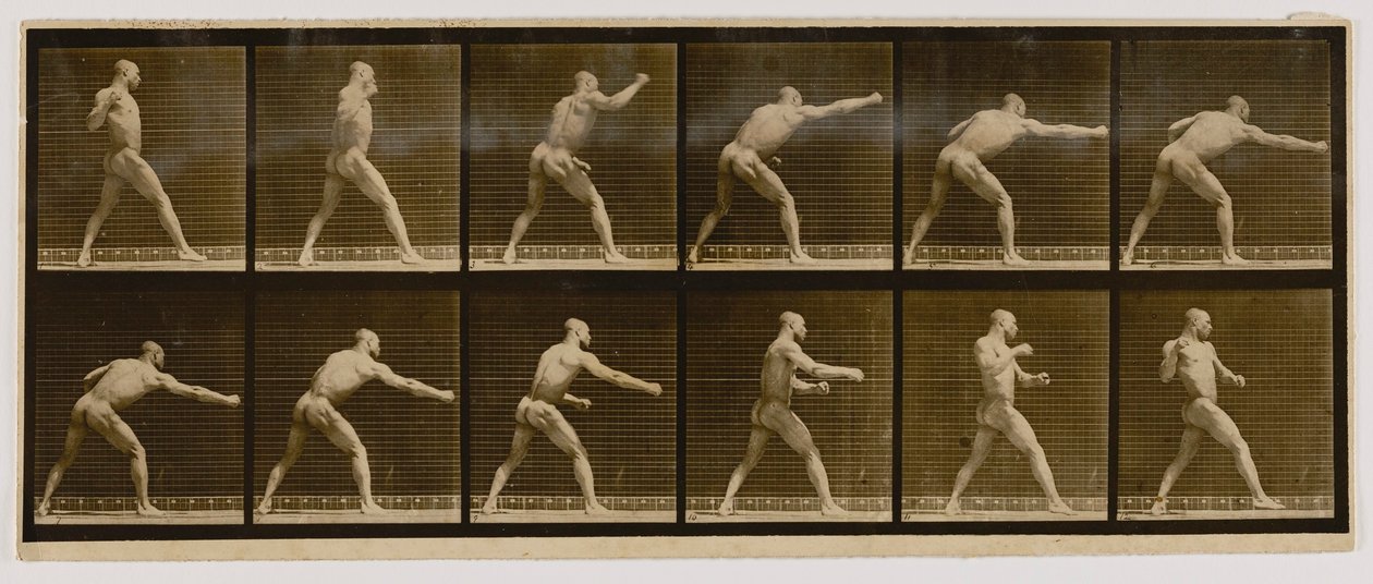 Pugilist die een slag uitdeelt, uit het boek Animal Locomotion door Eadweard Muybridge