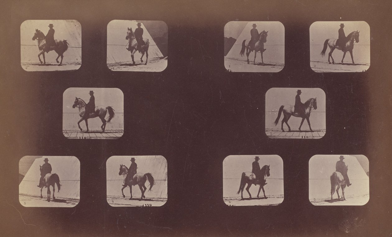 Studies van Verkortingen. Paarden. Lopen. Mahomet. Nrs. 119-120 door Eadweard Muybridge