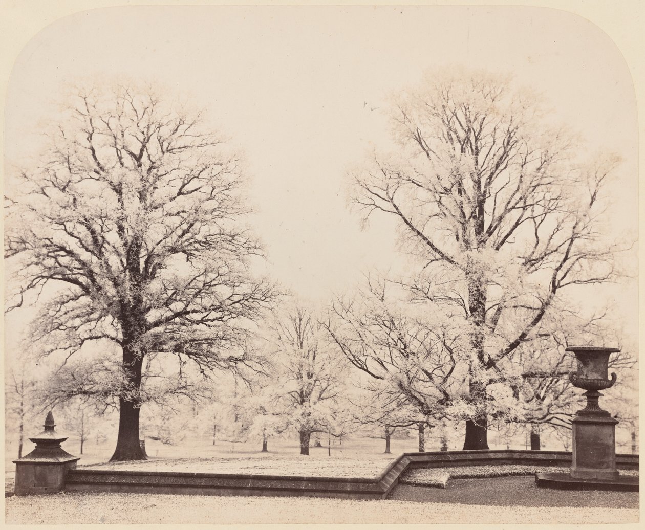 Hoarfrost, een parkscène,1862 (foto) door Earl of Caithness