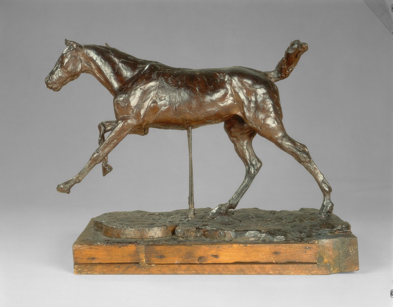 Paard galopperend op de rechtervoet door Edgar Degas
