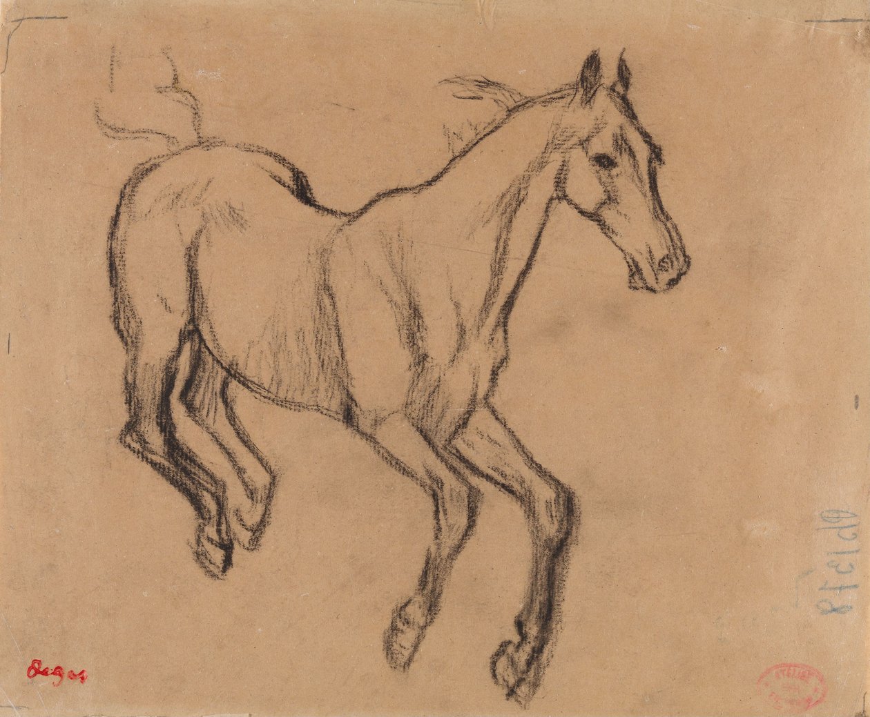 Galopperend paard door Edgar Degas