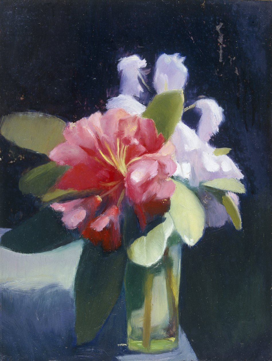 Rododendrons door Edgar Herbert Thomas
