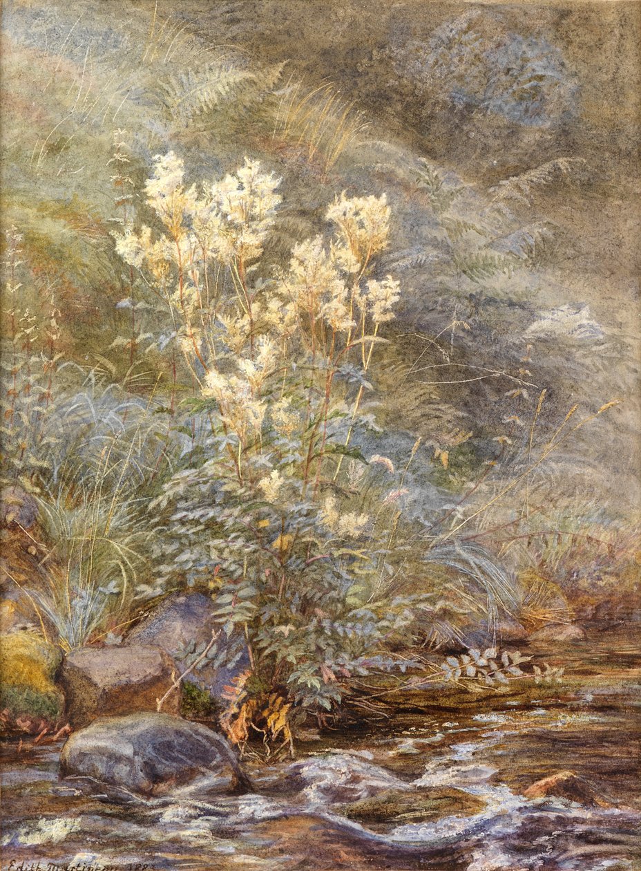 Moerasspirea naast een Beek, Invernesshire, ca. 1883 door Edith Martineau