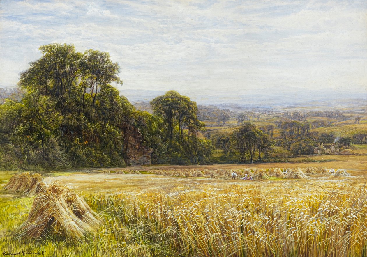 Oogsttijd door Edmund George Warren