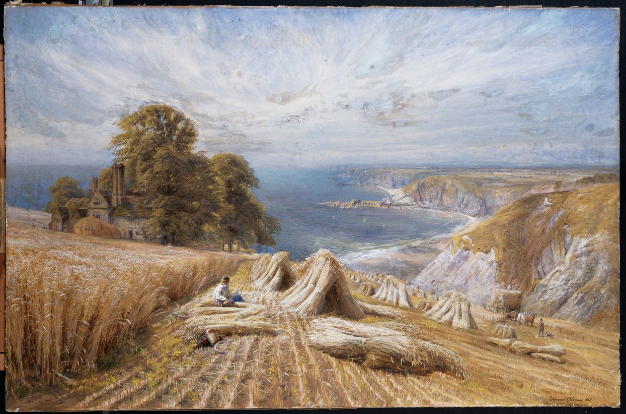 Oogsten aan de Zuidkust, 1869 door Edmund George Warren