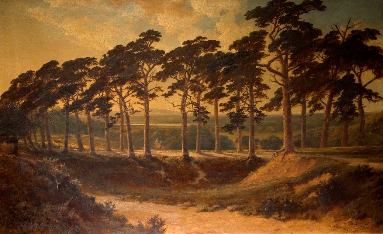 Harrow vanaf de Eerste, Hampstead Heath, 1875 door Edmund John Niemann