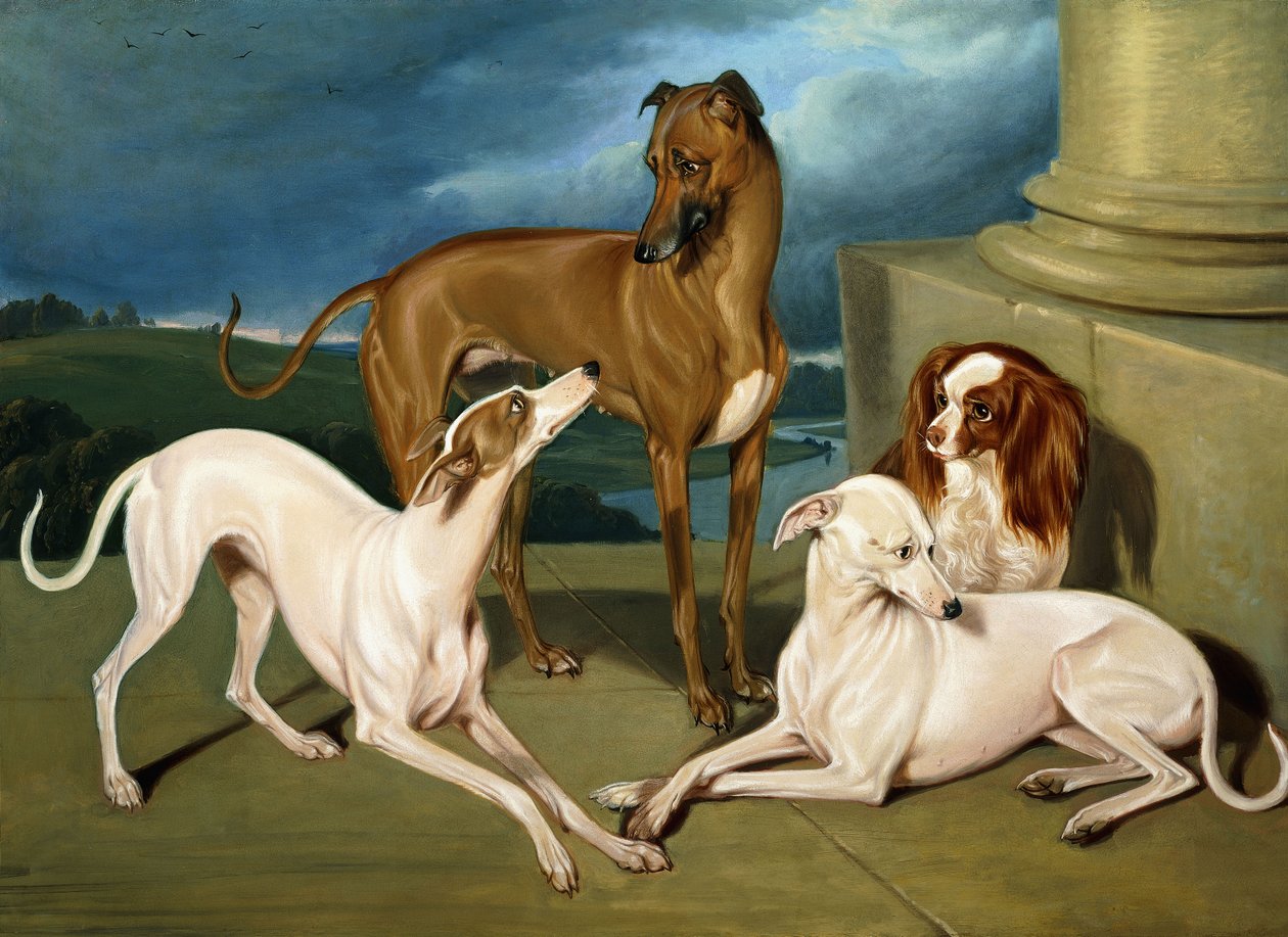 Windhonden en een King Spaniel, 1837 door Edmund Jr Havell