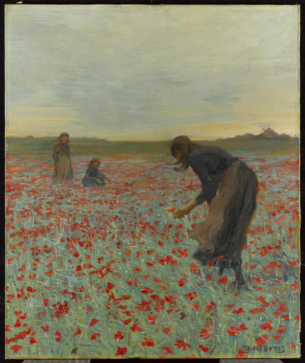 Meisjes in een Klaprozenveld, c.1896 door Edmund Montague Morris