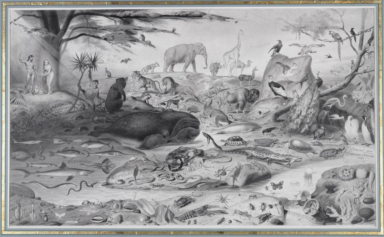 Adam en Eva en de Dieren, 1841 door Edouard Travies