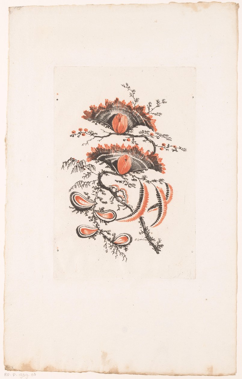 Waaiervormige bloemen door Edouard Gautier Dagoty