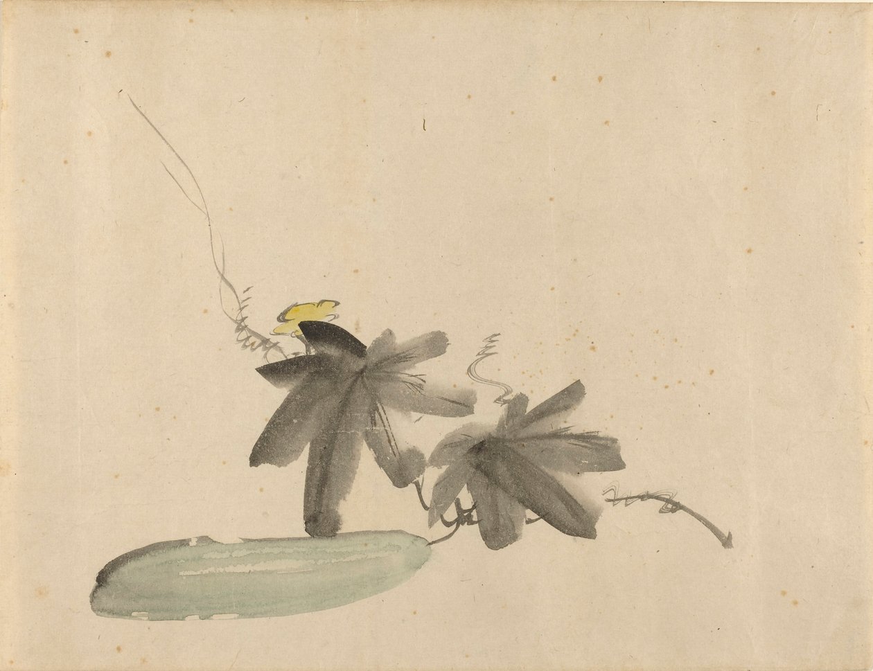 Komkommer met bladeren door Édouard Manet