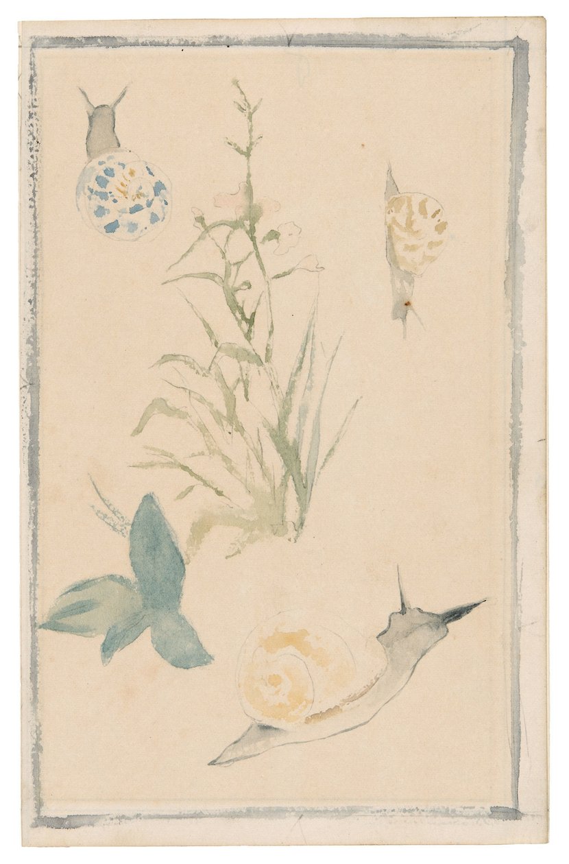 Manet - Schetsen van slakken, bloeiende plant, 1864-68 door Édouard Manet