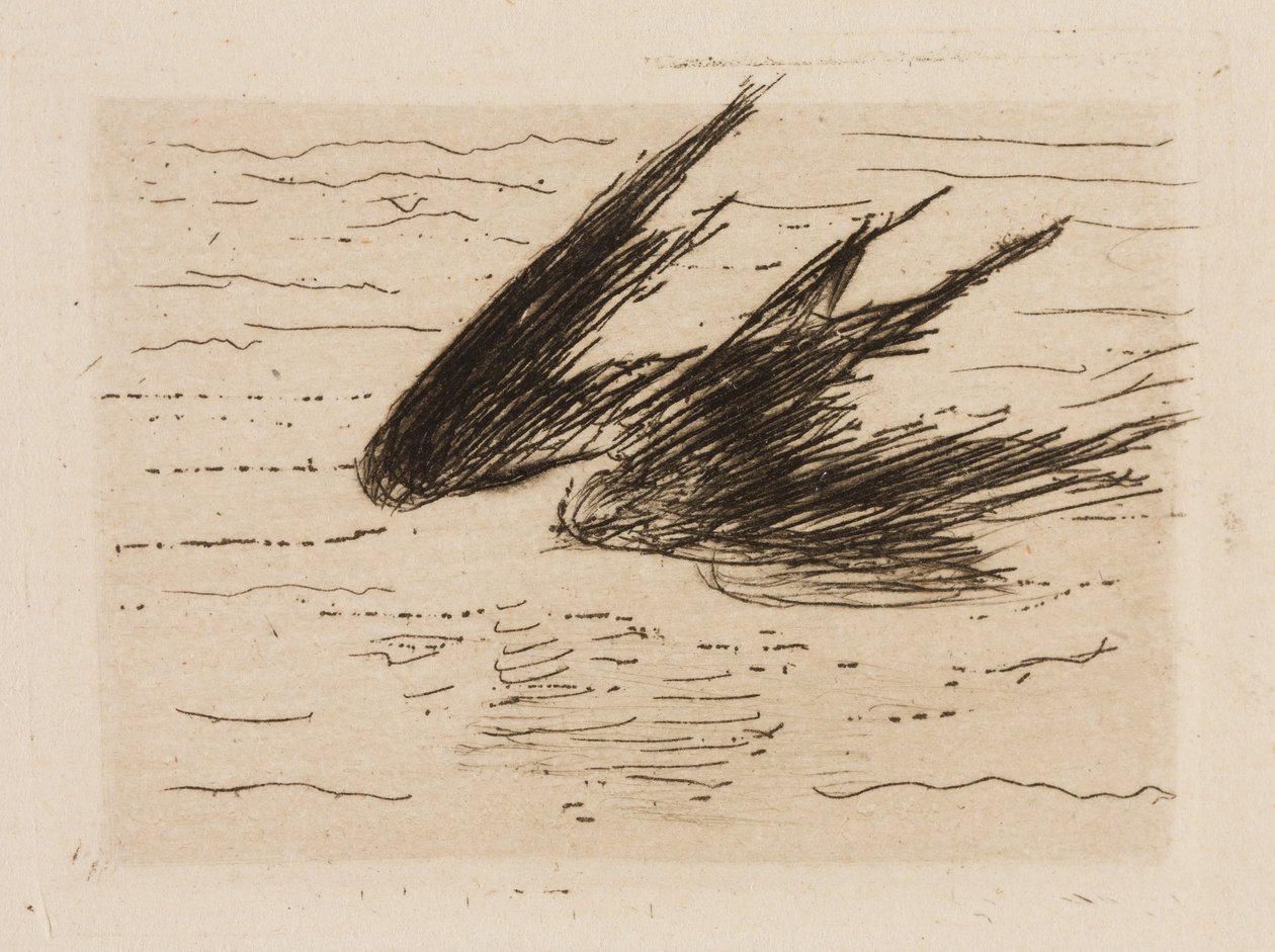 Zwaluwen, plaat 8 van Le Fleuve door Édouard Manet