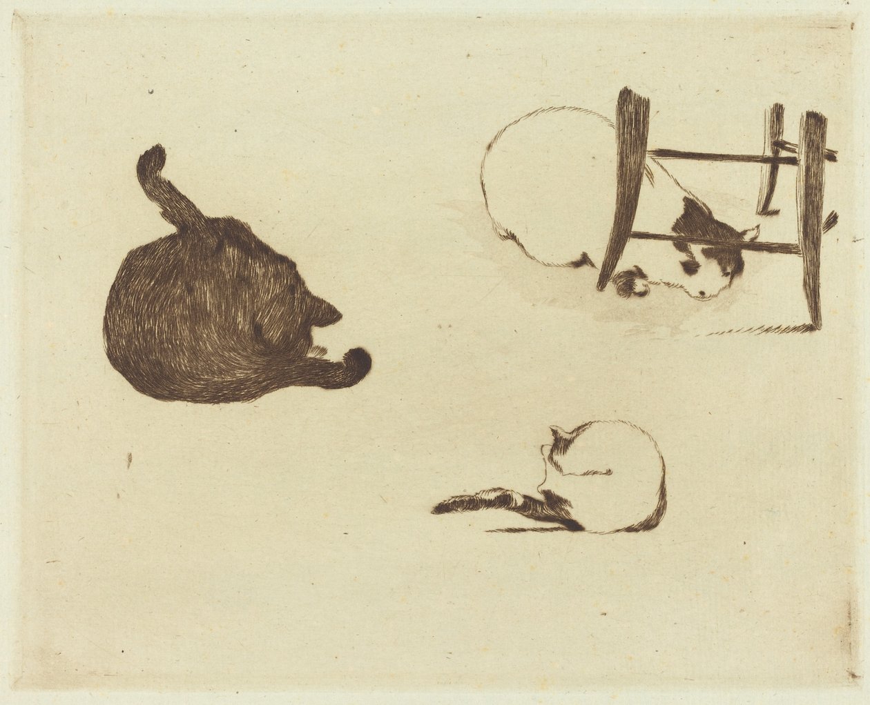 De Katten (Les chats) door Édouard Manet