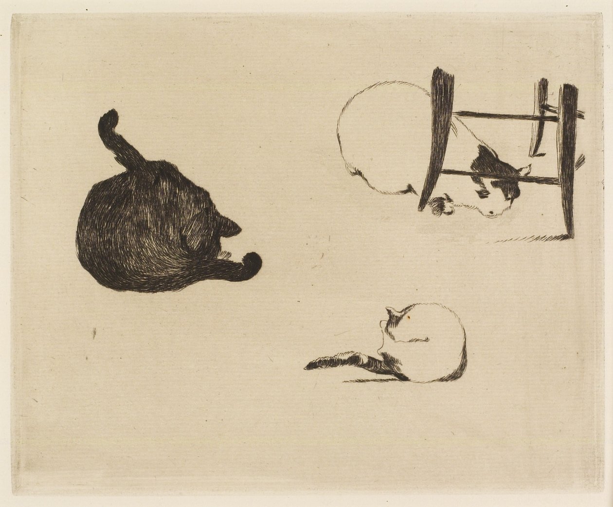 De katten, 1869 door Édouard Manet