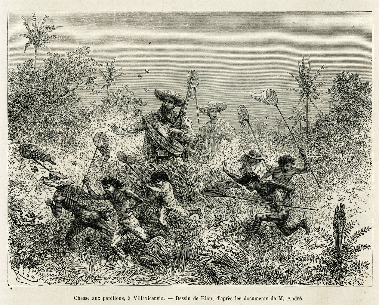 Een groep kinderen jaagt op vlinders, vergezeld door de auteur, in Villavicencio (Colombia), tekening door Riou, ter illustratie van het verhaal van Equinoxiaal Amerika (Colombia, Ecuador, Peru), in 1875-1876, door Ed. André, reiziger belast met missie doo door Edouard Riou