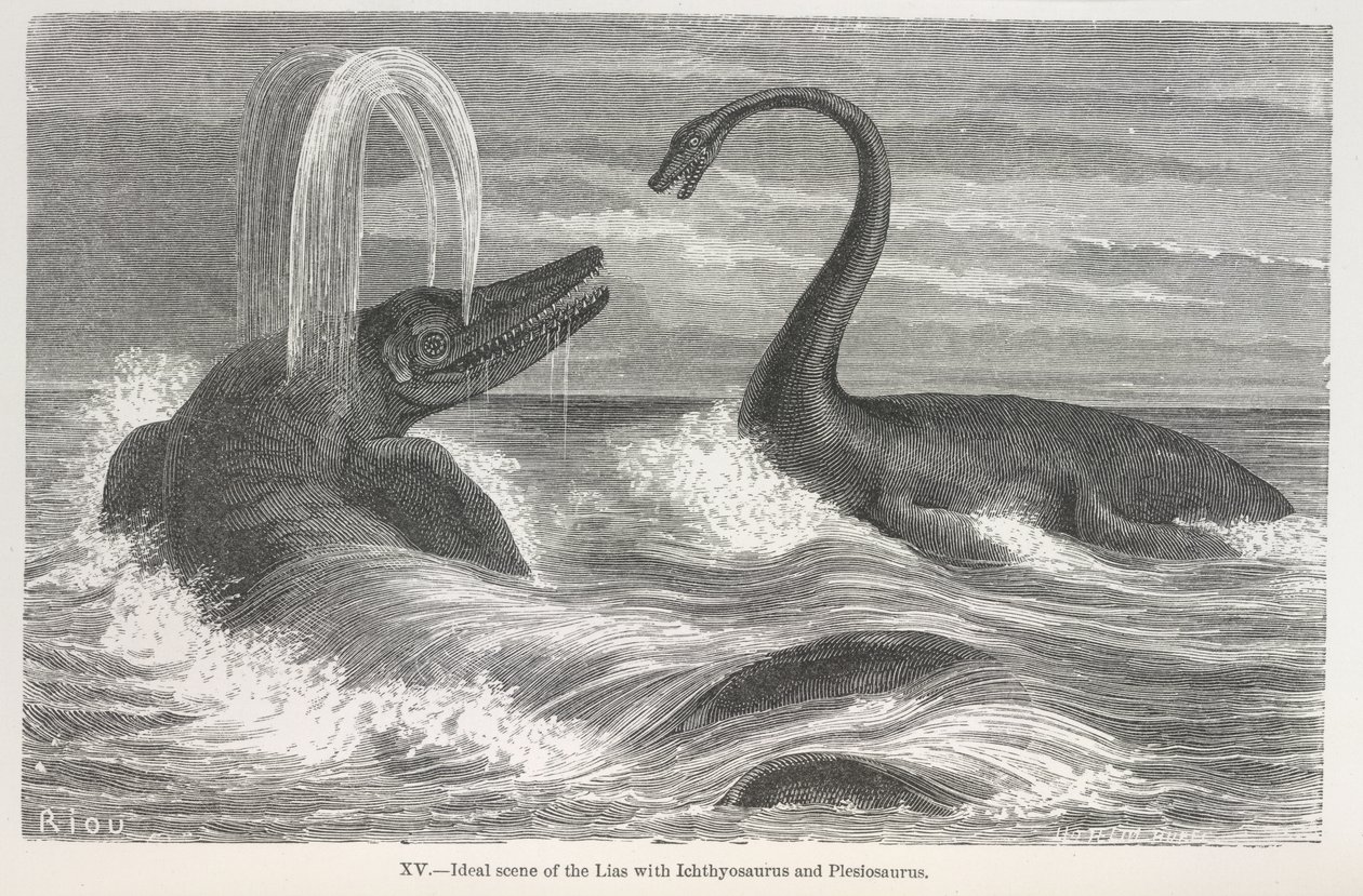 Ideaal tafereel van de lias met Ichthyosaurus en Plesiosaurus door Edouard Riou