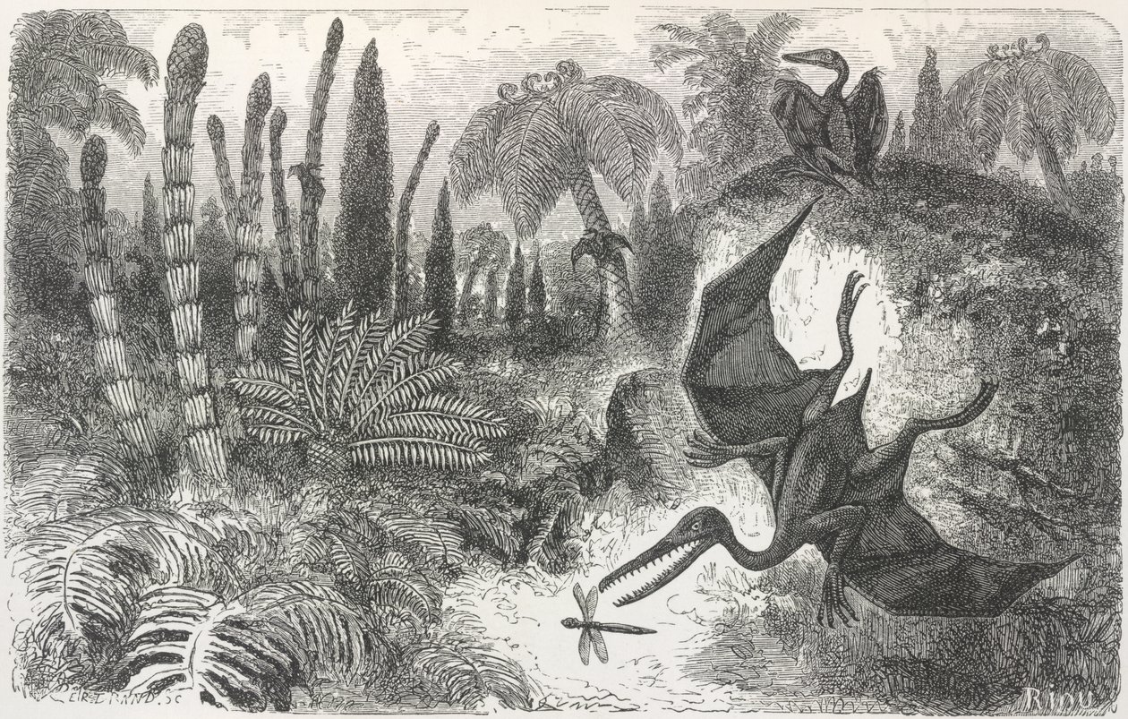 Landschap uit de Lias-periode. Illustratie van een Pterodactylus door Edouard Riou