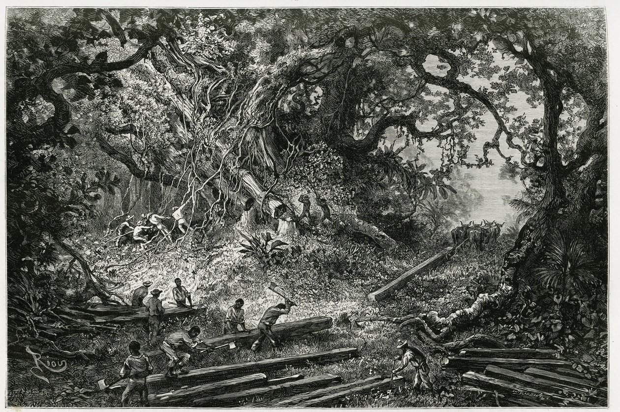 De exploitatie van mahoniehout in de bossen van de Andes. Gravure door Riou, ter illustratie van het verhaal 