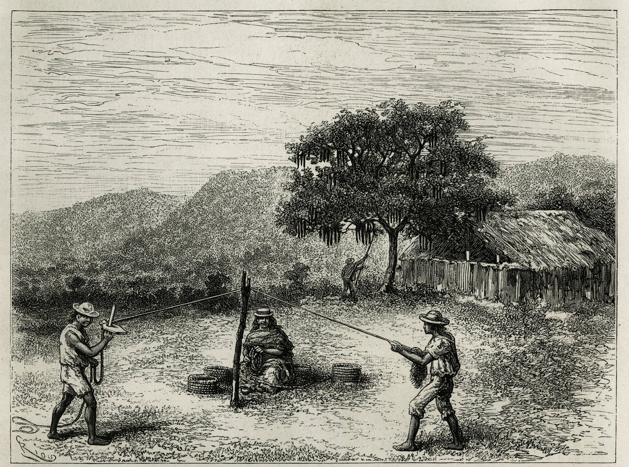 De vervaardiging van de cabuya, touw van Fourcroya, nabij Cartago (Colombia), gravure door Riou, ter illustratie van het verhaal van Equinoxiale Amerika door E. Andre, missieopdracht door de Franse regering, gepubliceerd in de Tour du monde, onder leiding  door Edouard Riou
