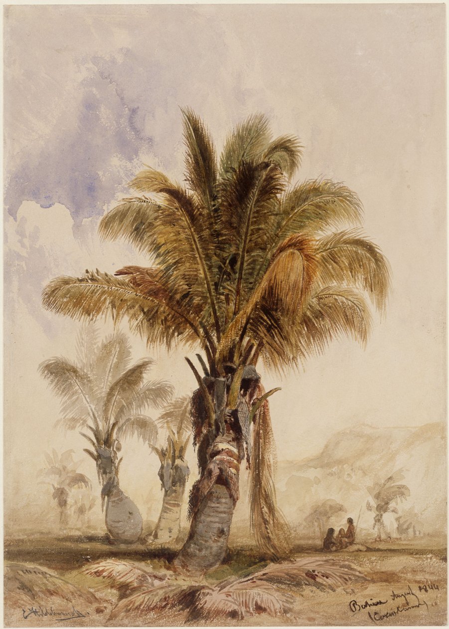 Kokospalmen in Bahia door Eduard Hildebrandt