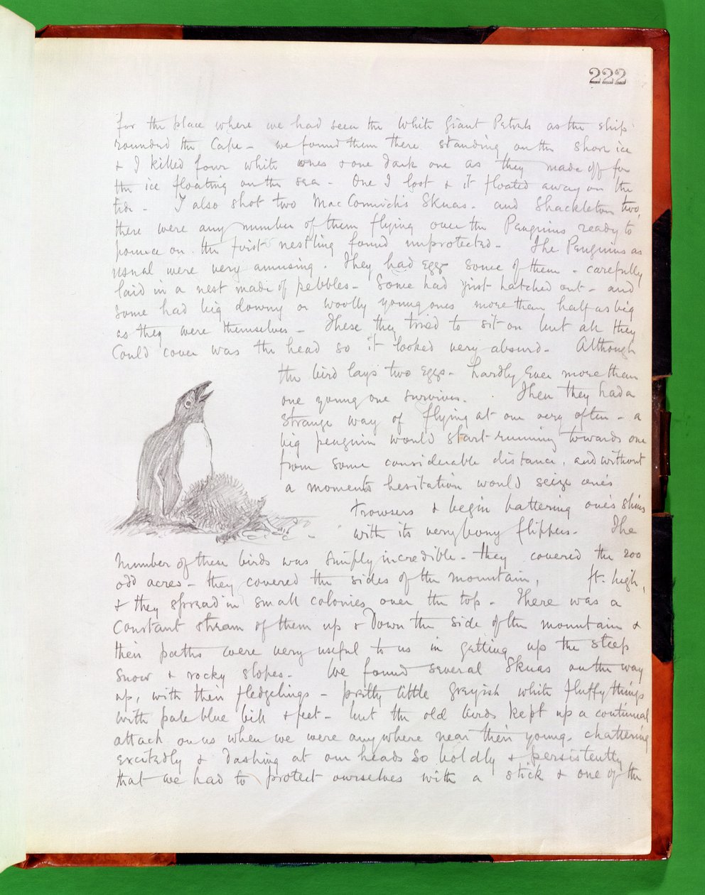 Dagboeknotitie voor 9 januari 1902 door Edward Adrian Wilson