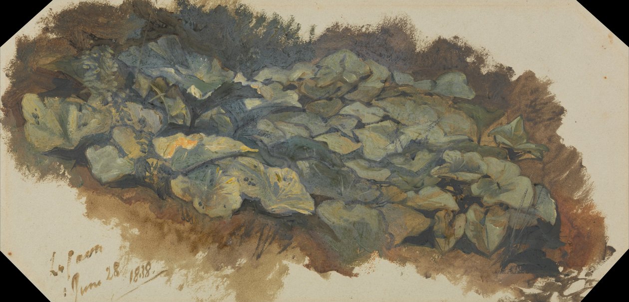 La Cava door Edward Lear