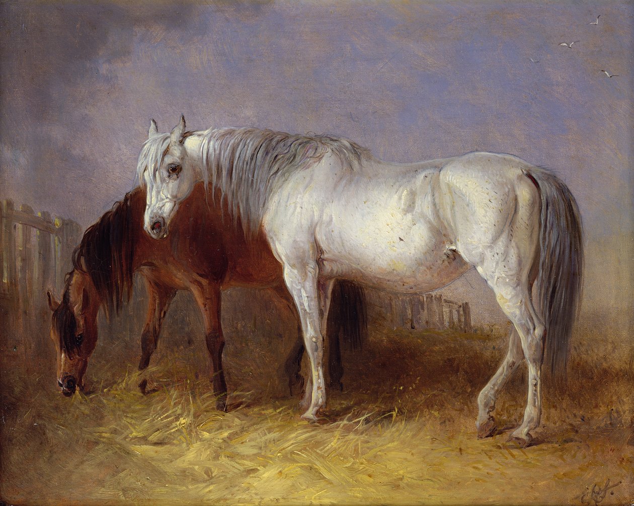 Grijze en kastanjebruine paarden door Edward Robert Smythe